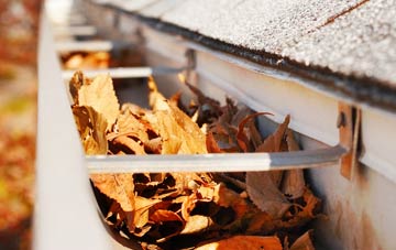 Fintona gutter cleaning companies