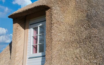 Fintona thatch roof disadvantages
